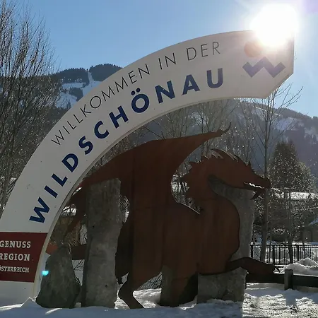 In Panorama Alleinlage Kitzbueheler Alpenwild63 By Fewo-plan Apartman Schwarzenau