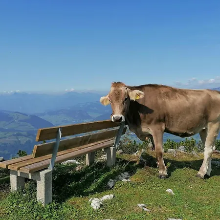 In Panorama Alleinlage Kitzbueheler Alpenwild63 By Fewo-plan Apartman Schwarzenau