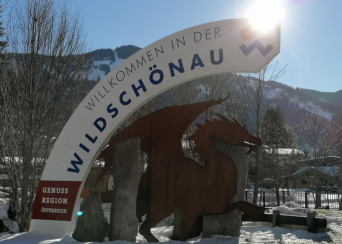 In Panorama Alleinlage Kitzbueheler Alpenwild63 By Fewo-plan شقة Schwarzenau (Kufstein)