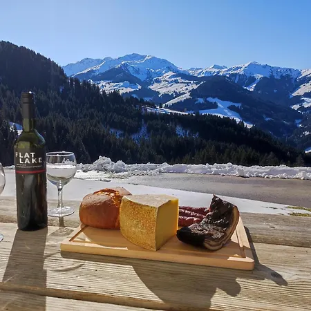 In Panorama Alleinlage Kitzbueheler Alpenwild63 By Fewo-plan Appartement *